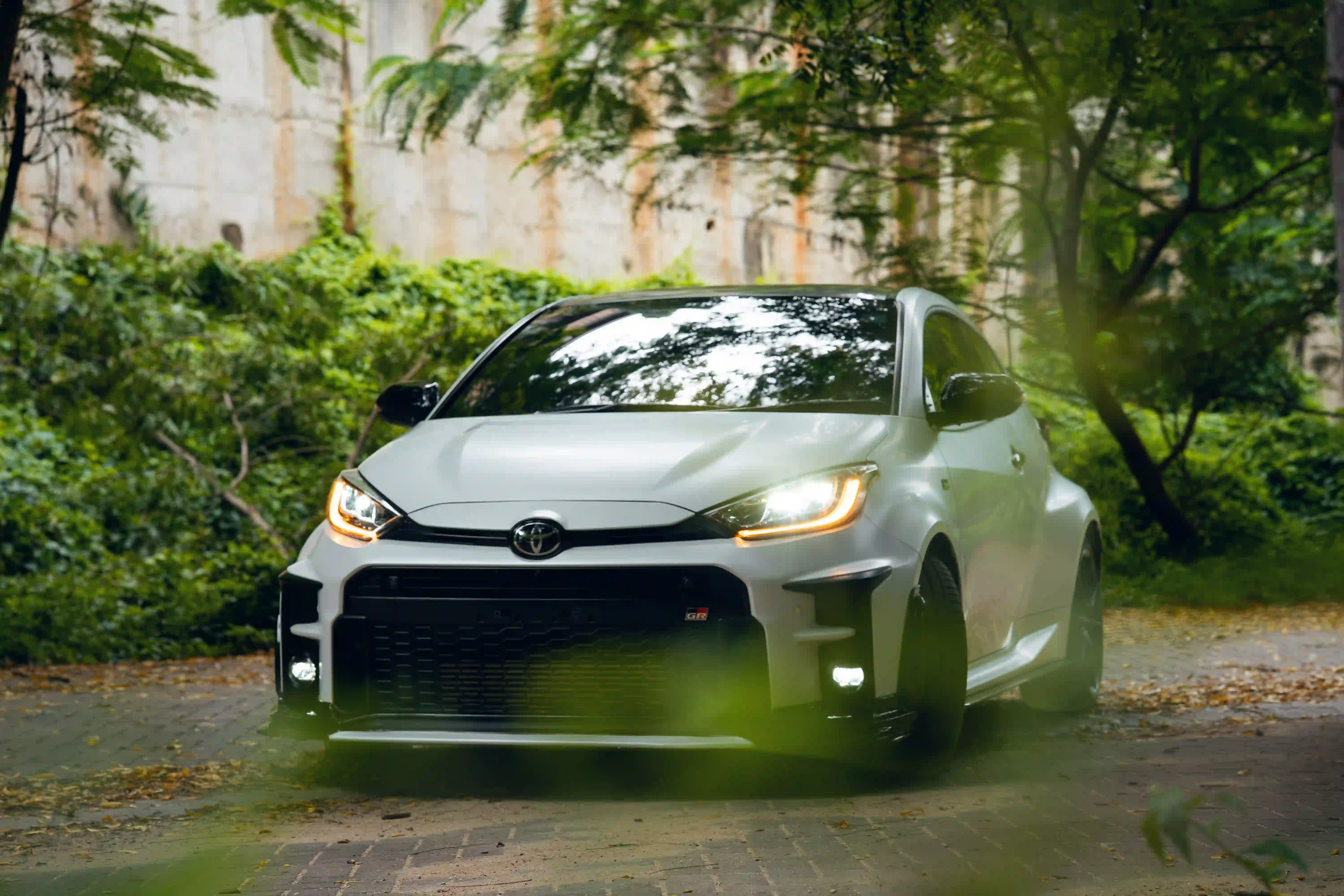 Automotive landscape 3