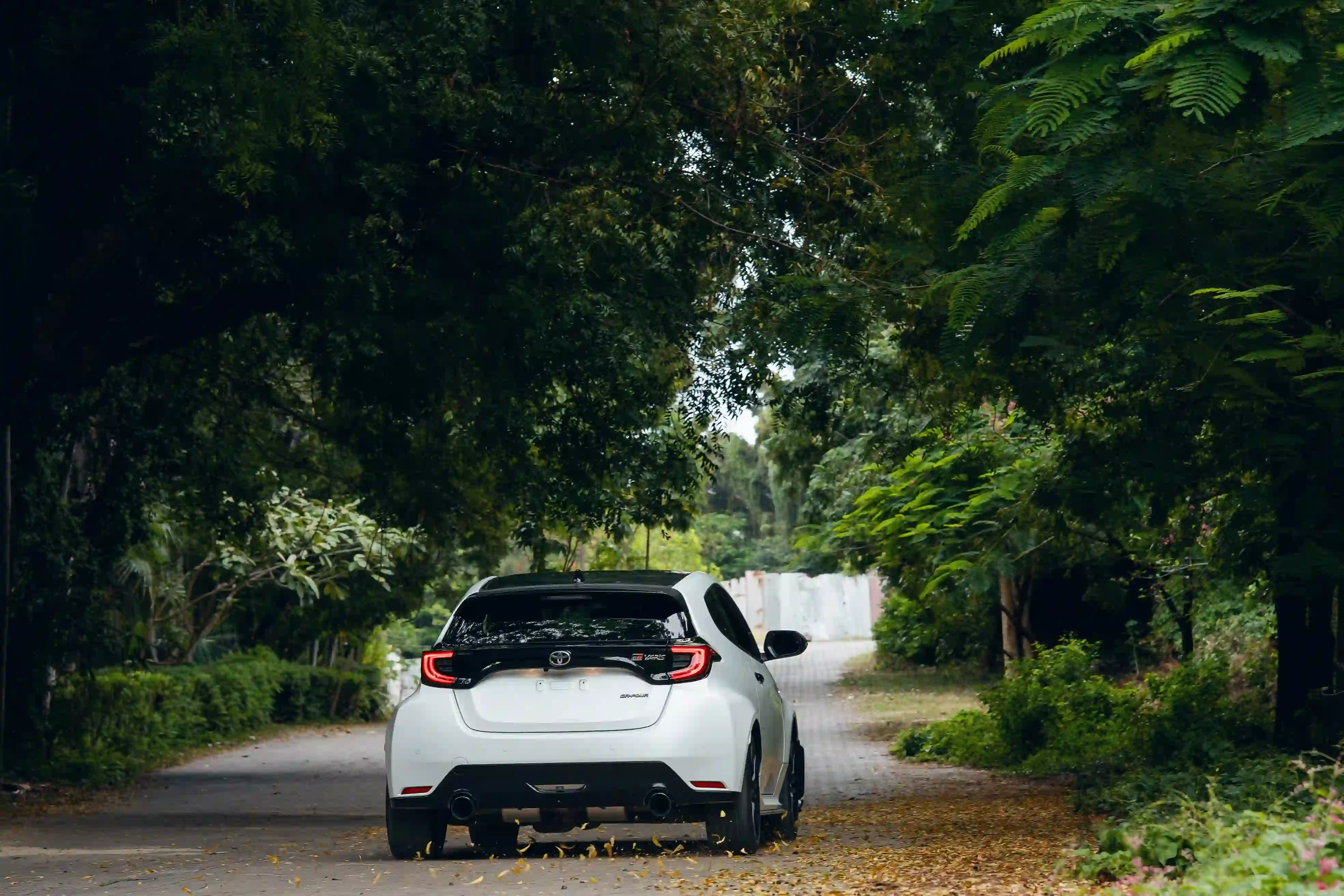 Automotive landscape 2