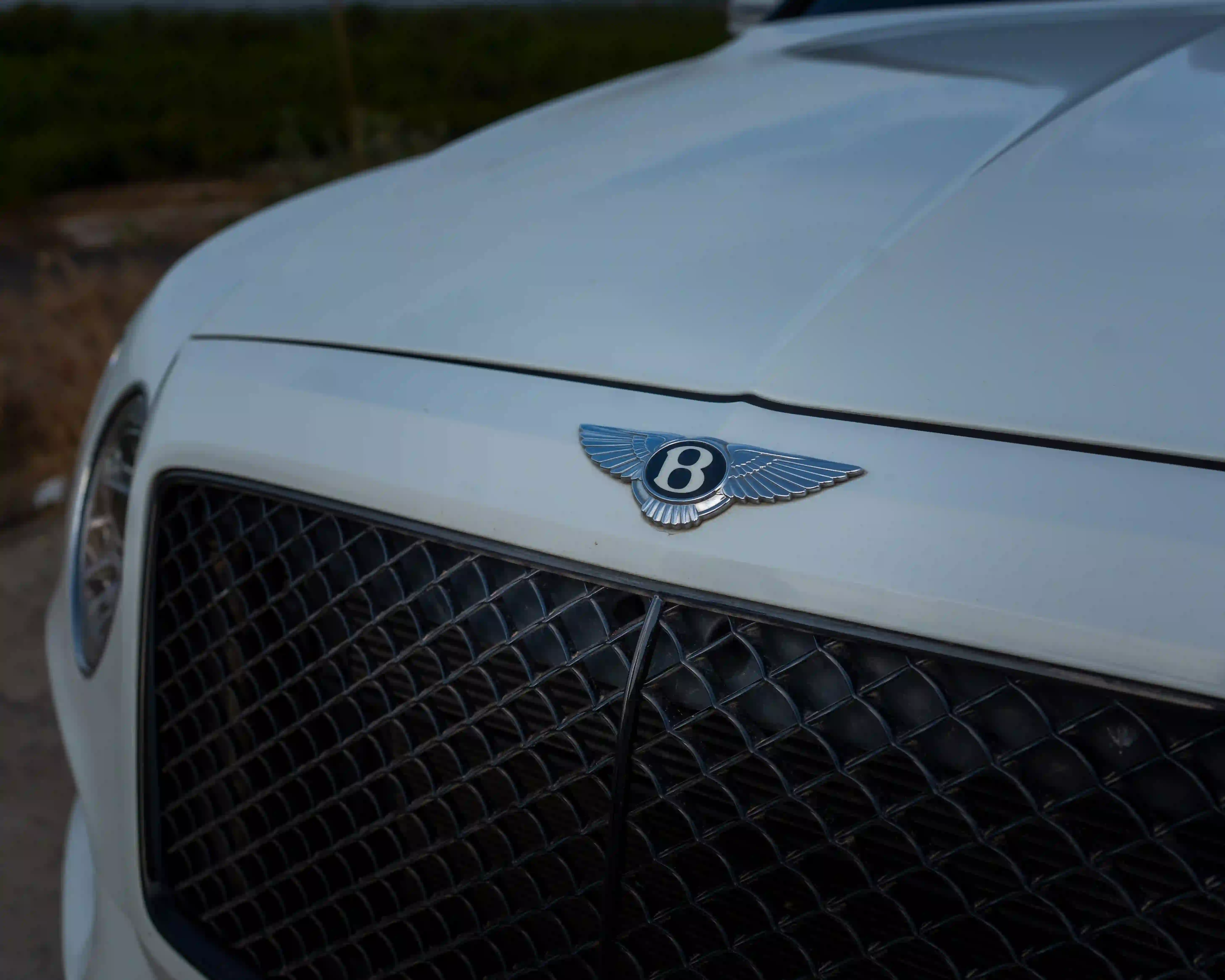 Automotive brief 3
